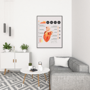 Tableau d'anatomie du cœur #0133