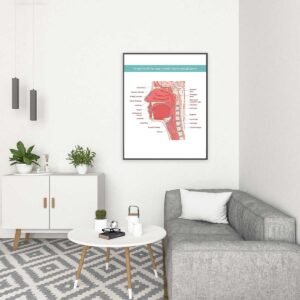 Tableau de l'anatomie orale et nasale humaine #0143