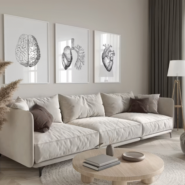 Set de 3 tableaux d'organes #0360